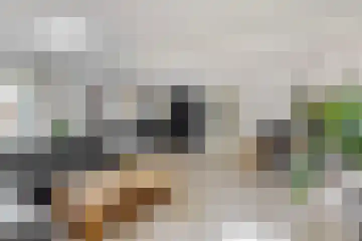 Bertus Aafjeshof 72 Hoorn thumbnail 8