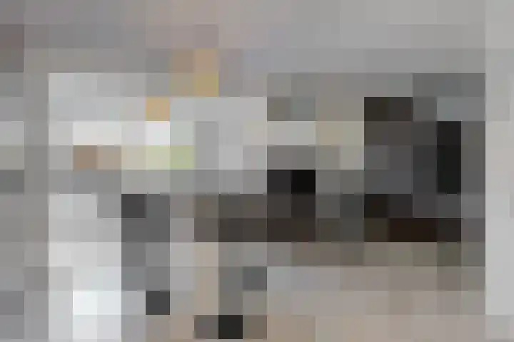 Bertus Aafjeshof 72 Hoorn thumbnail 9