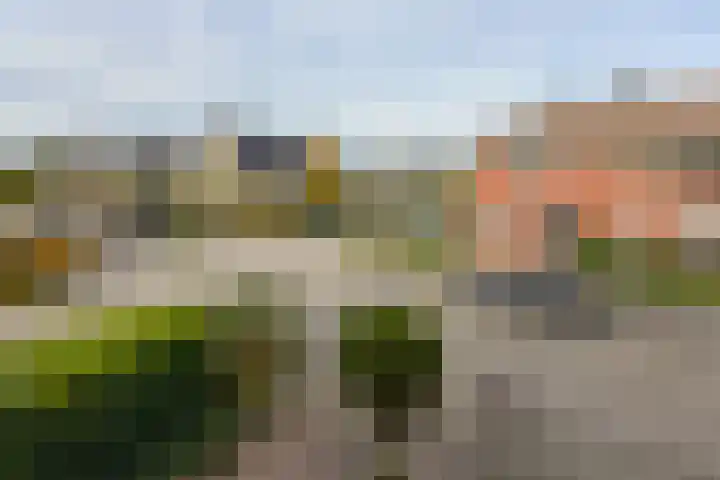 Bertus Aafjeshof 87 Hoorn thumbnail 32