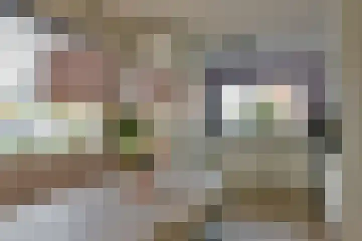 Bertus Aafjeshof 87 Hoorn thumbnail 5