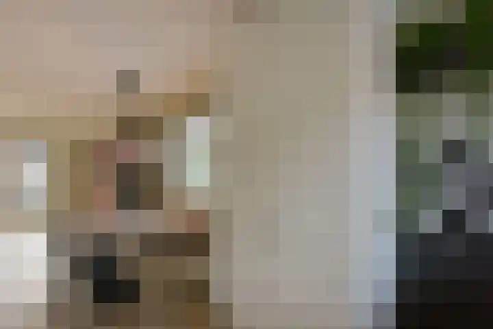 Bertus Aafjeshof 87 Hoorn thumbnail 7