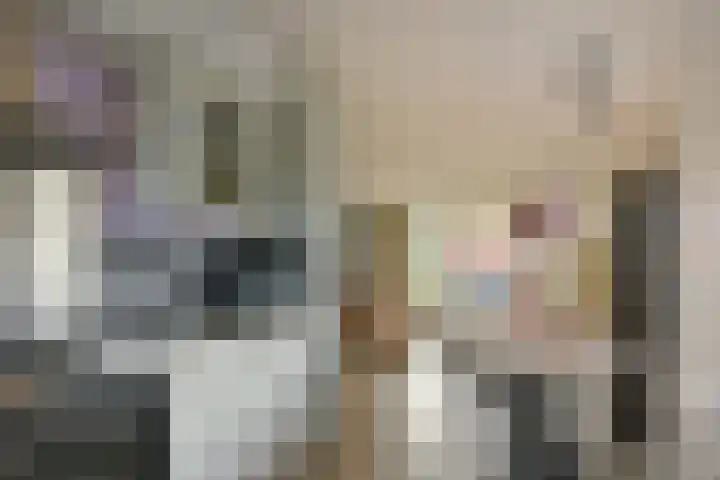 Bertus Aafjeshof 87 Hoorn thumbnail 8