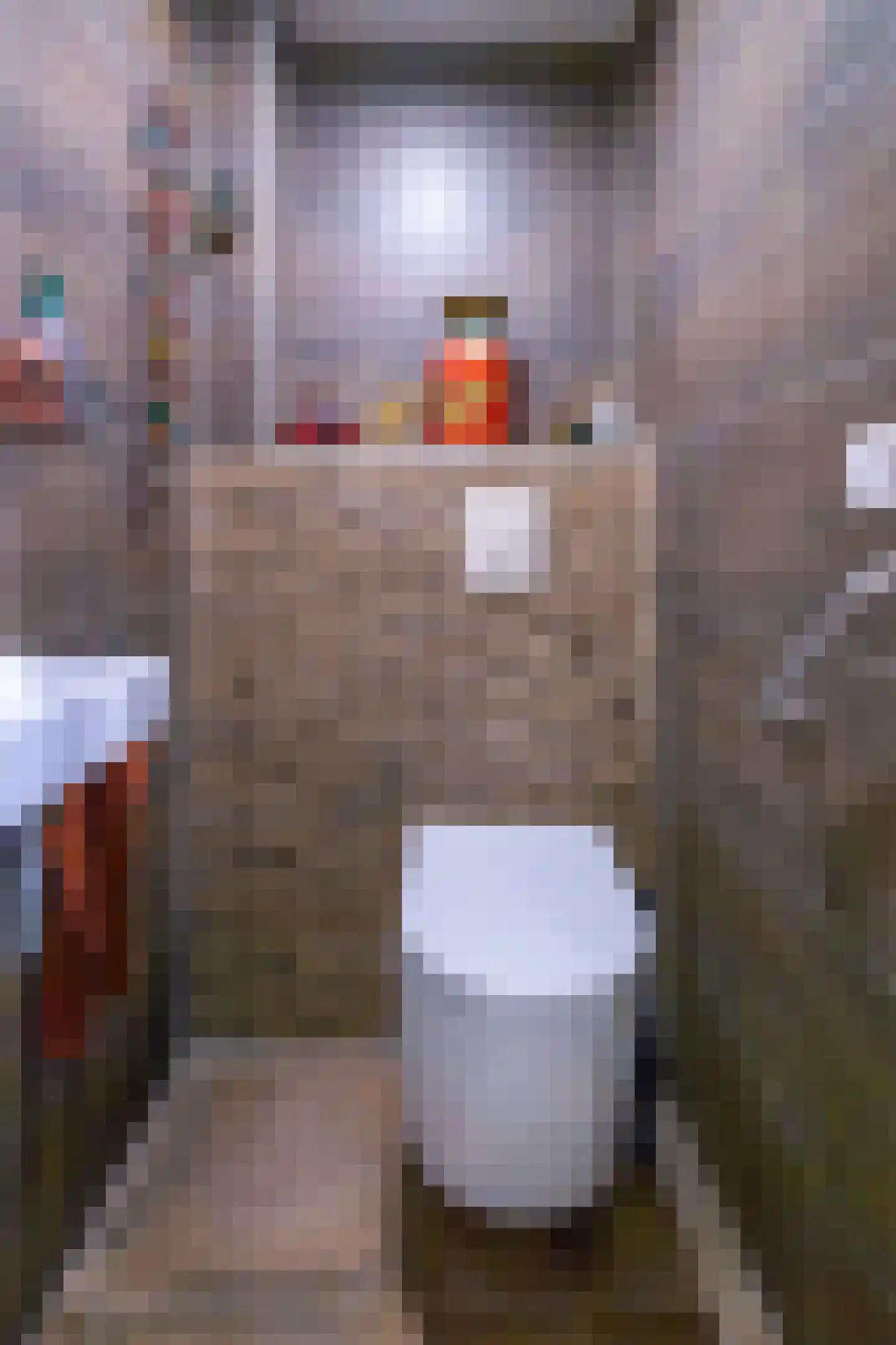 Bertus Aafjeshof 9 Hoorn thumbnail 21