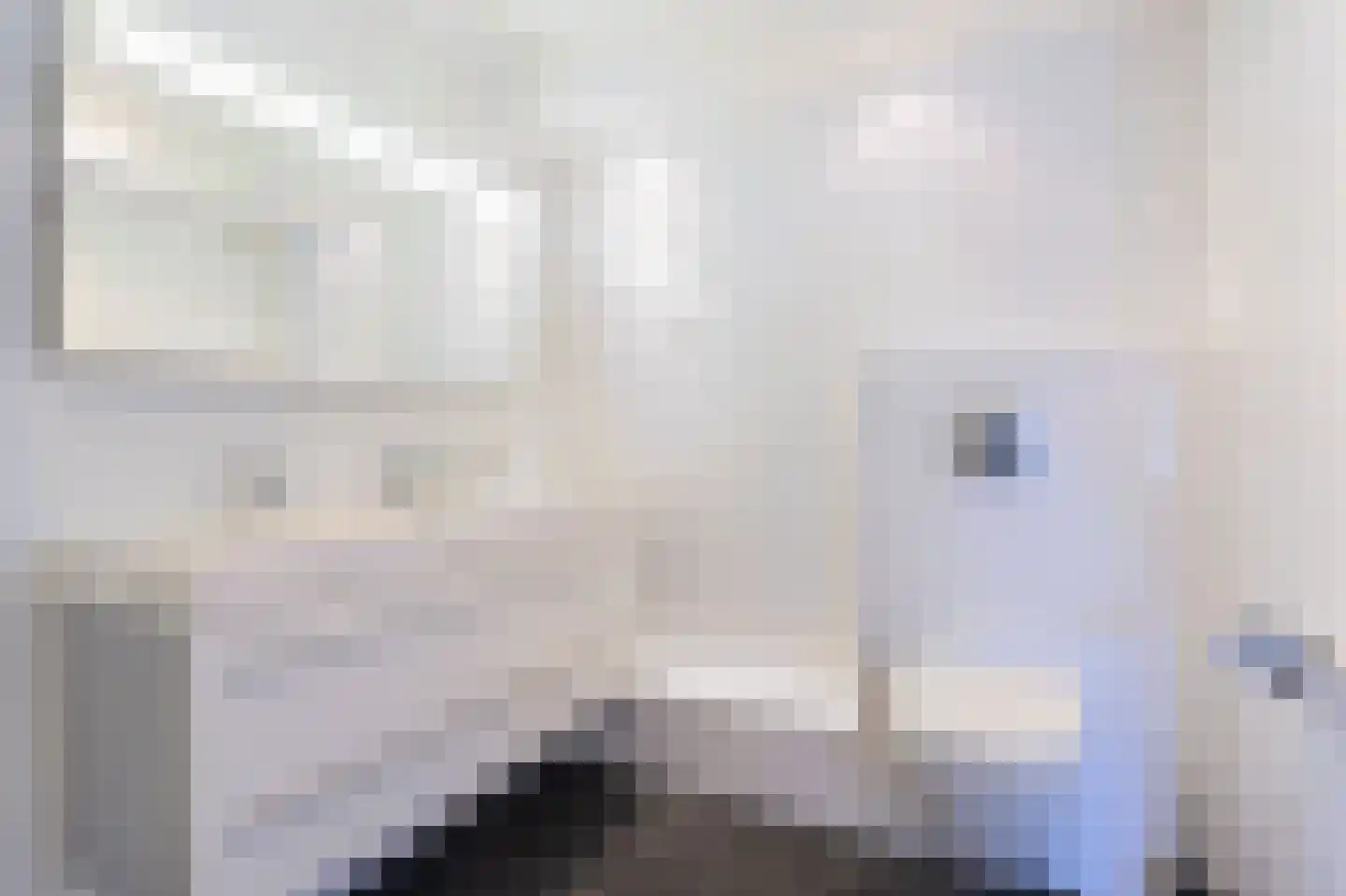 Bertus Aafjeshof 9 Hoorn thumbnail 36