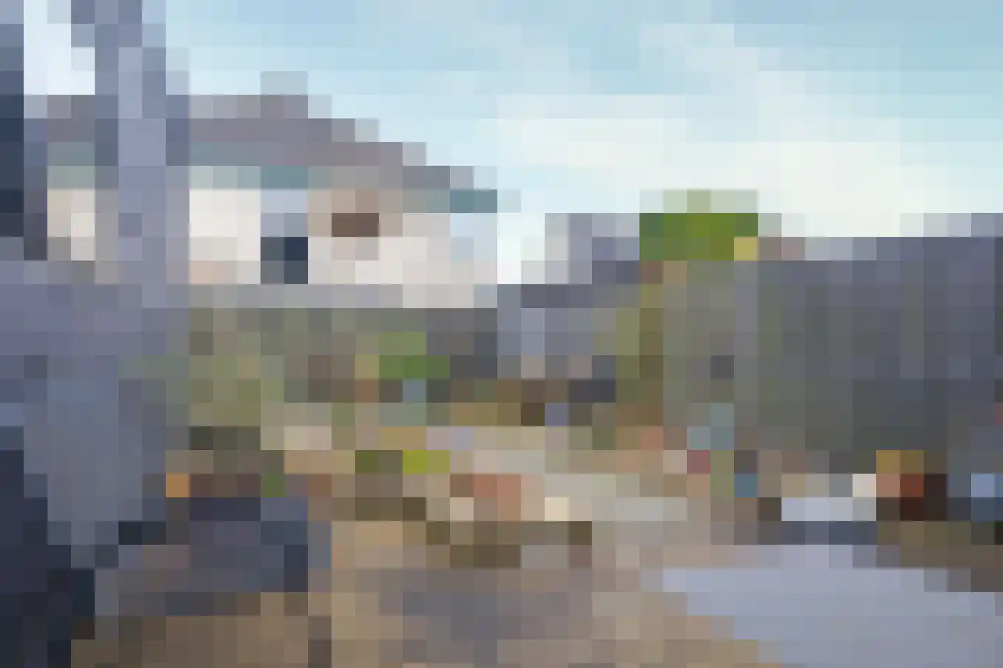 Bertus Aafjeshof 9 Hoorn thumbnail 41