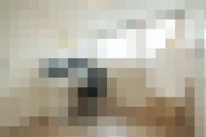 Bertus Aafjeshove 17 Nieuwegein thumbnail 16