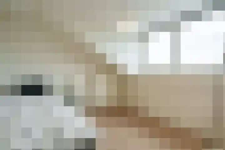 Bertus Aafjeshove 17 Nieuwegein thumbnail 17