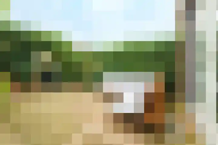 Bertus Aafjeshove 17 Nieuwegein thumbnail 19