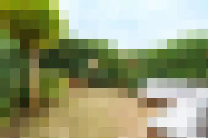Bertus Aafjeshove 17 Nieuwegein thumbnail 20