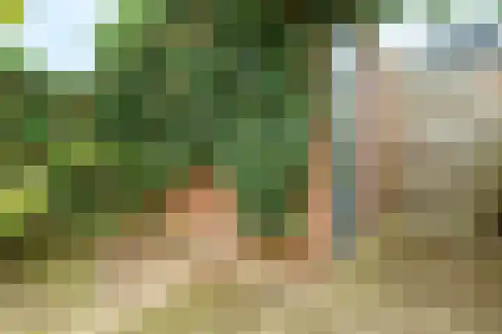 Bertus Aafjeshove 17 Nieuwegein thumbnail 21