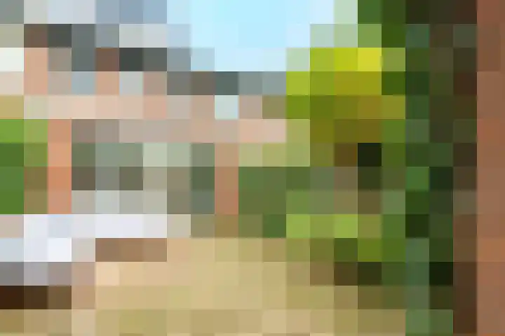 Bertus Aafjeshove 17 Nieuwegein thumbnail 22