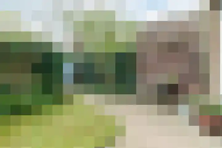 Bertus Aafjeslaan 19 De Meern thumbnail 10