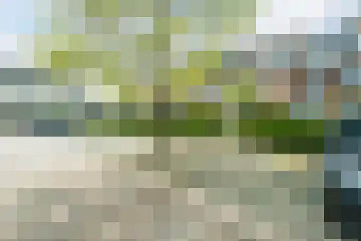 Bertus Aafjeslaan 19 De Meern thumbnail 12