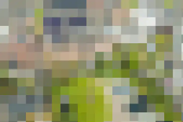 Bertus Aafjeslaan 19 De Meern thumbnail 14