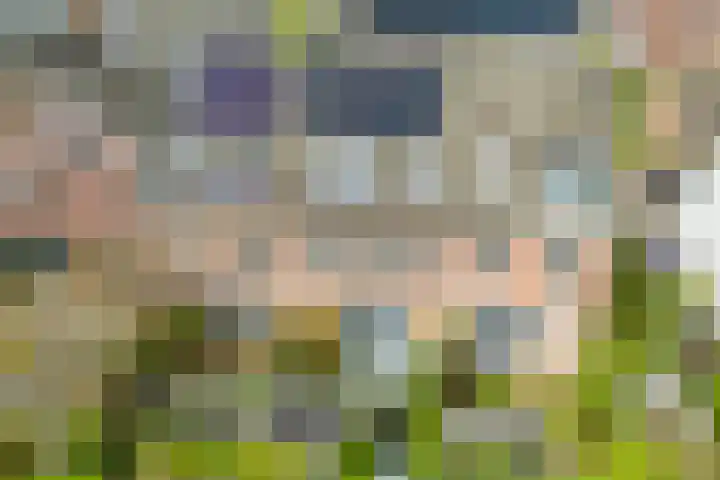 Bertus Aafjeslaan 19 De Meern thumbnail 15