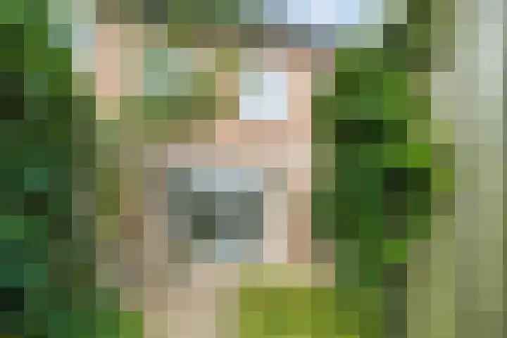 Bertus Aafjeslaan 19 De Meern thumbnail 16