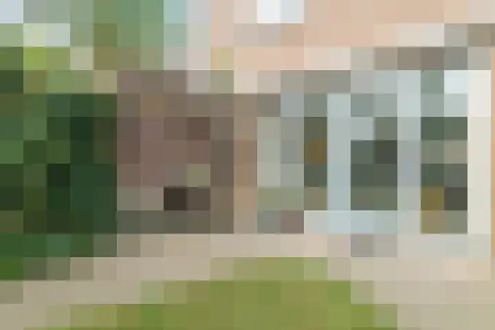 Bertus Aafjeslaan 19 De Meern thumbnail 17