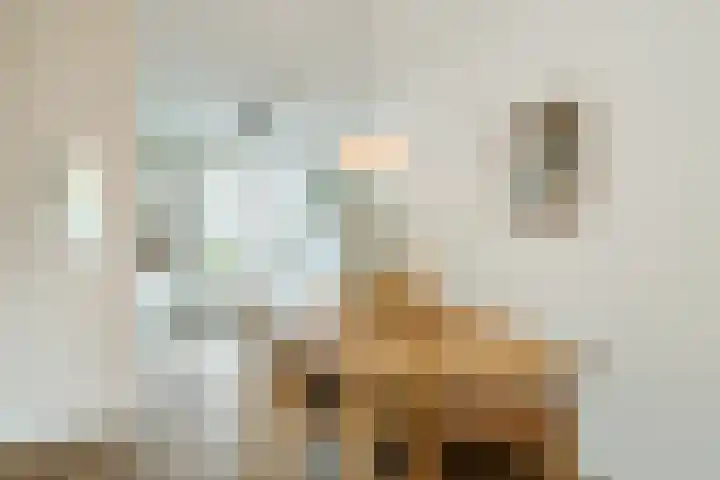 Bertus Aafjeslaan 19 De Meern thumbnail 20