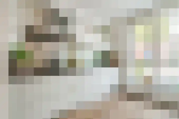 Bertus Aafjeslaan 19 De Meern thumbnail 21