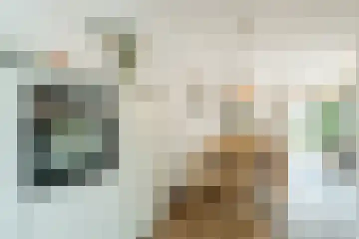 Bertus Aafjeslaan 19 De Meern thumbnail 23