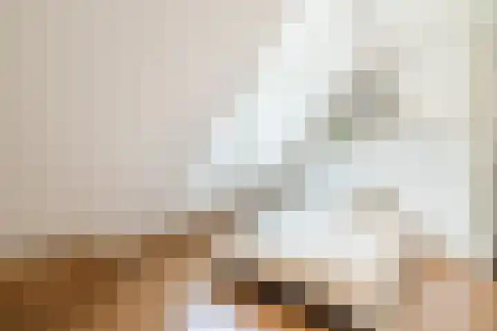 Bertus Aafjeslaan 19 De Meern thumbnail 39