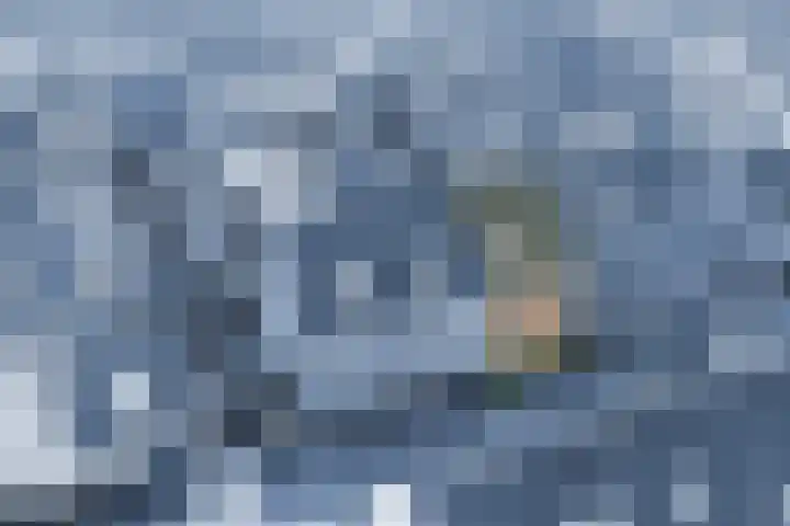 Bertus Aafjeslaan 19 De Meern thumbnail 4
