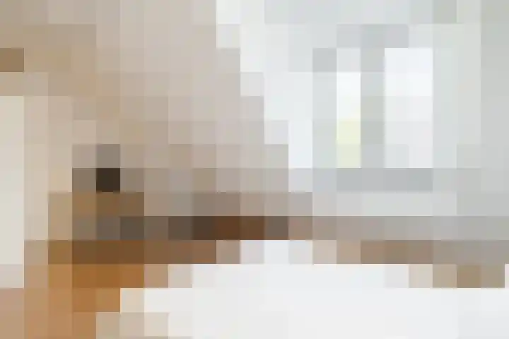 Bertus Aafjeslaan 19 De Meern thumbnail 41