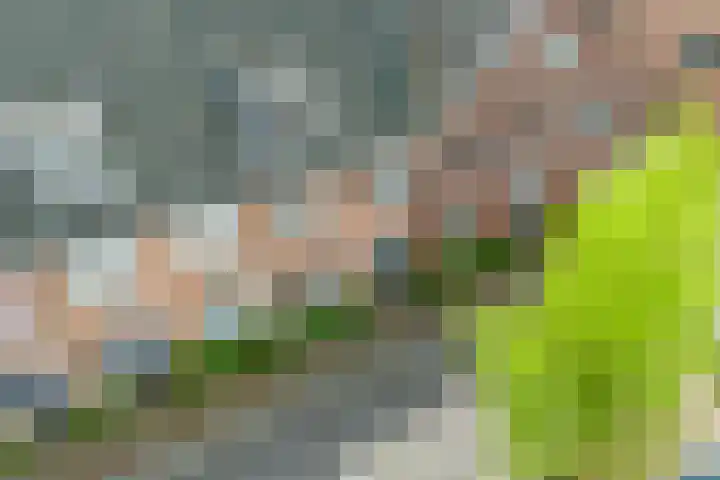 Bertus Aafjeslaan 19 De Meern thumbnail 48