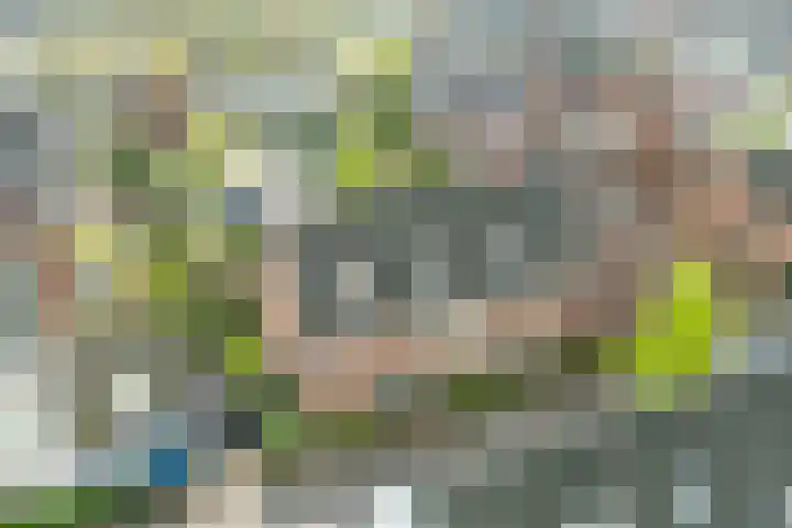 Bertus Aafjeslaan 19 De Meern thumbnail 49
