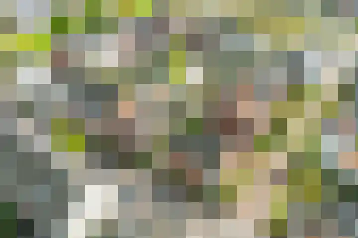 Bertus Aafjeslaan 19 De Meern thumbnail 50