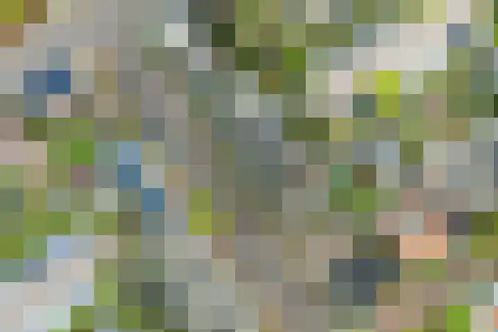Bertus Aafjeslaan 19 De Meern thumbnail 51