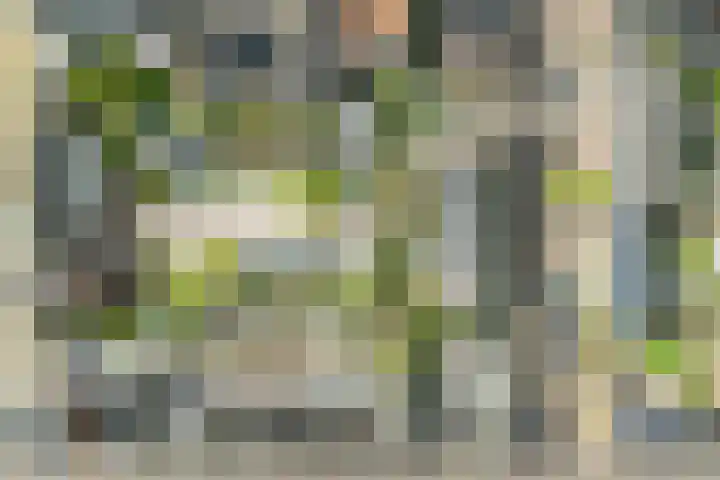 Bertus Aafjeslaan 19 De Meern thumbnail 52