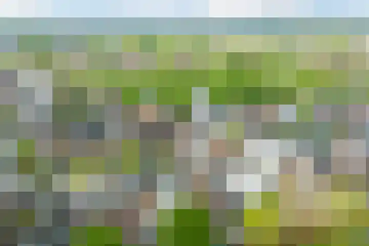 Bertus Aafjeslaan 19 De Meern thumbnail 53