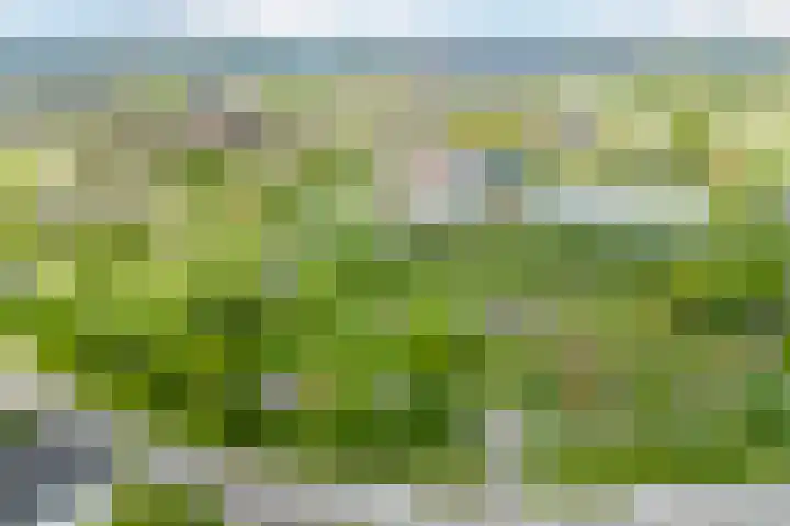 Bertus Aafjeslaan 19 De Meern thumbnail 54