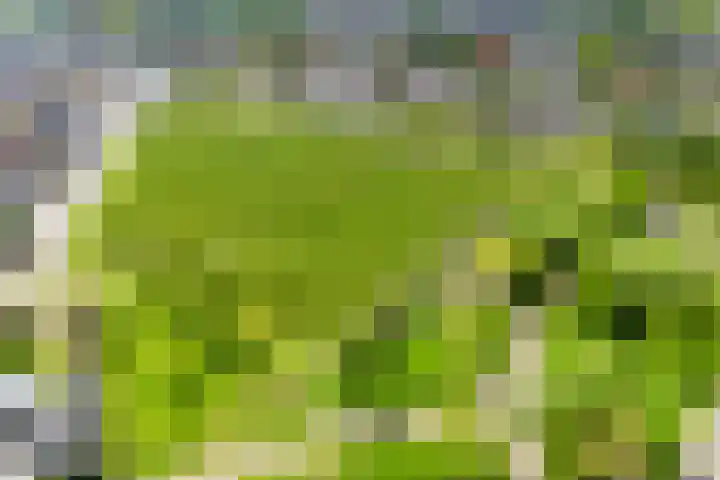 Bertus Aafjeslaan 19 De Meern thumbnail 55