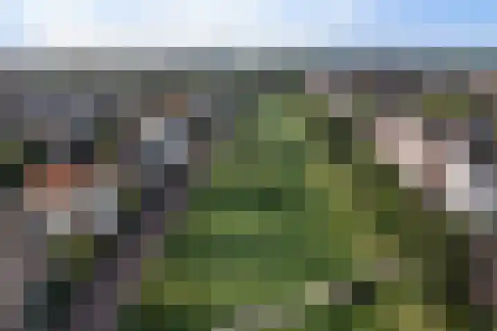 Bertus Aafjeslaan 19 De Meern thumbnail 60