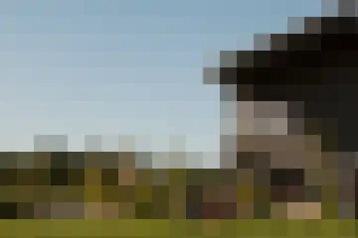 Bertus Aafjeslaan 19 De Meern thumbnail 61