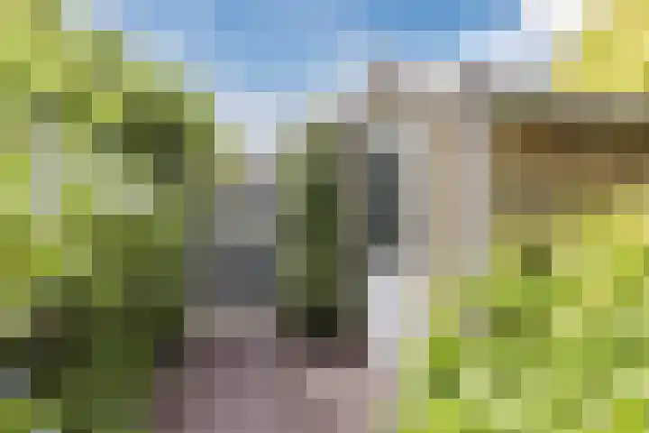 Bertus Aafjeslaan 21 De Meern thumbnail 12