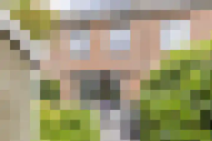 Bertus Aafjeslaan 21 De Meern thumbnail 13