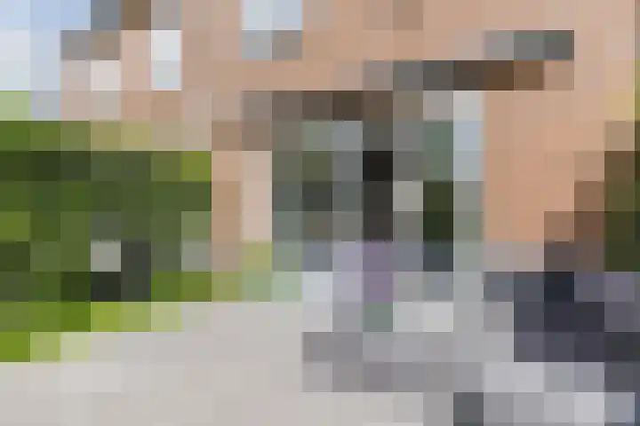 Bertus Aafjeslaan 21 De Meern thumbnail 14