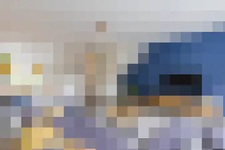 Bertus Aafjeslaan 21 De Meern thumbnail 17