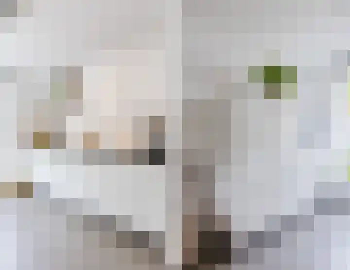 Bertus Aafjeslaan 21 De Meern thumbnail 21