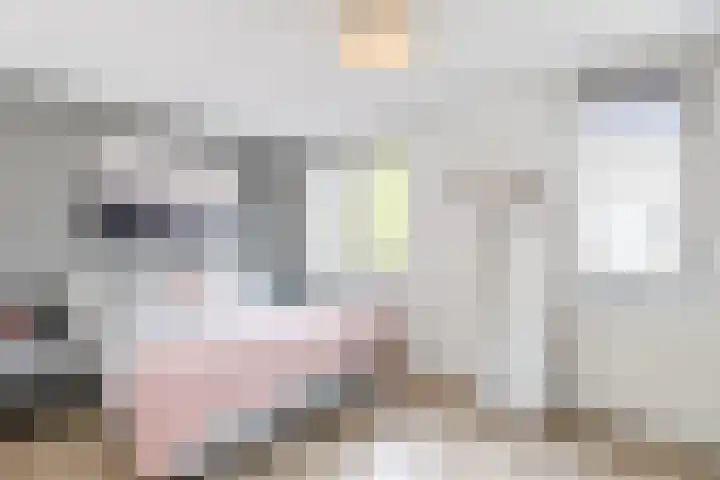Bertus Aafjeslaan 21 De Meern thumbnail 22