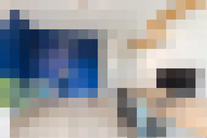 Bertus Aafjeslaan 21 De Meern thumbnail 29