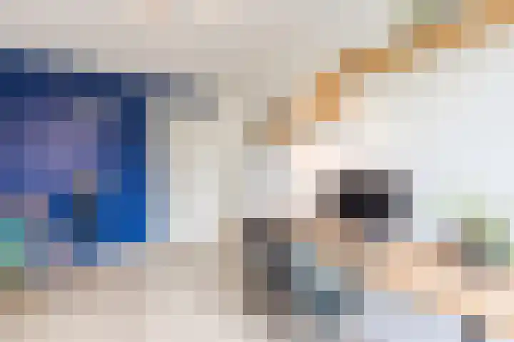 Bertus Aafjeslaan 21 De Meern thumbnail 30