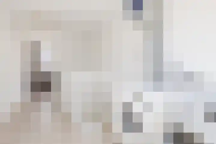 Bertus Aafjeslaan 21 De Meern thumbnail 34