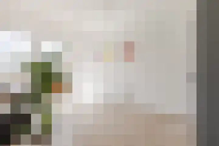 Bertus Aafjeslaan 21 De Meern thumbnail 35