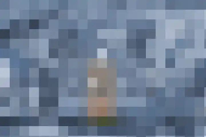 Bertus Aafjeslaan 21 De Meern thumbnail 4