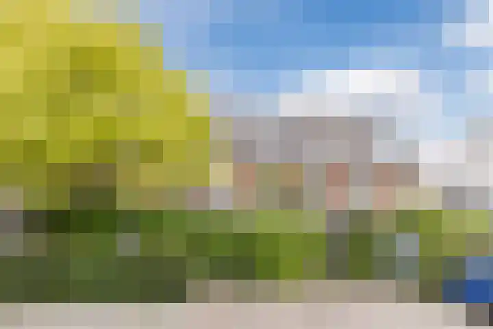 Bertus Aafjeslaan 21 De Meern thumbnail 44