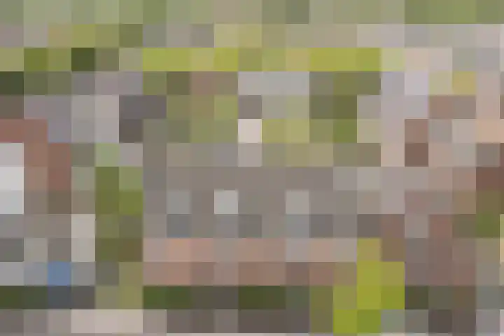 Bertus Aafjeslaan 21 De Meern thumbnail 46